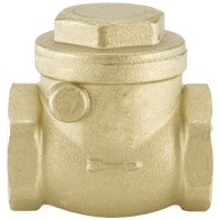 Burkert Swing Check Valve, TFU005